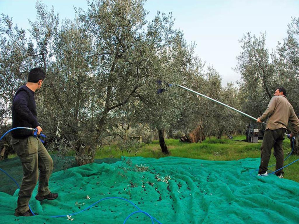 Agriturismo Borgo Dell'Aschetto Marina di Cerveteri Rom bilde
