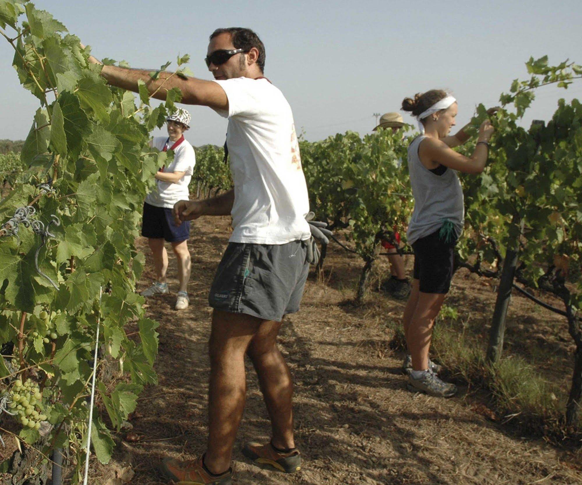 Agriturismo Borgo Dell'Aschetto Marina di Cerveteri Eksteriør bilde